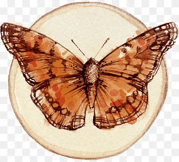 png-transparent-butterfly-scrapbooking-embellishment-tag-watercolor-paint-painting-drawing-design-color-thumbnail